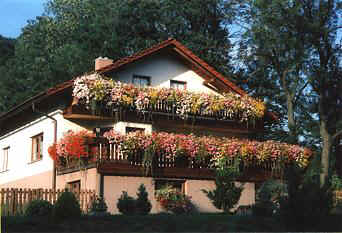 Pension May